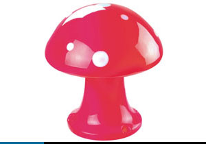 Ģ