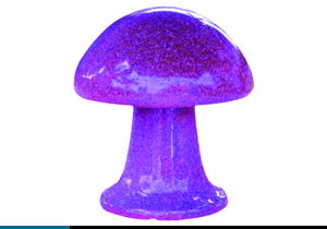 Ģ