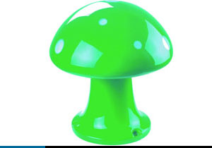 Ģ